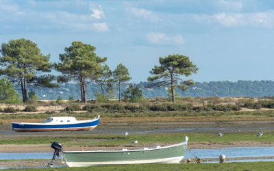 Magie du bassin d’arcachon entre océan, dunes et traditions vivantes