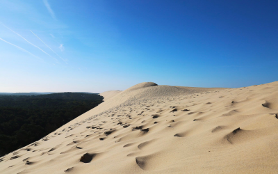 Bassin d’arcachon, l’art de vivre entre pins et huîtres
