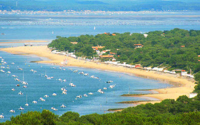 Bassin d’arcachon, un écrin de nature entre dunes et forêts