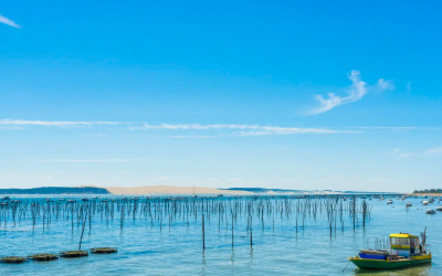 Immersion authentique au cœur du Bassin d’Arcachon préservé