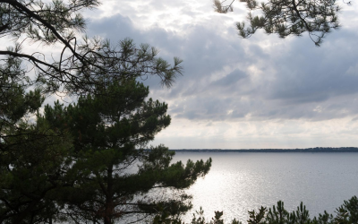 Immersion culturelle et touristique sur le bassin d’Arcachon
