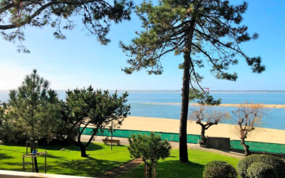 Magie du bassin d’arcachon entre dunes et art de vivre
