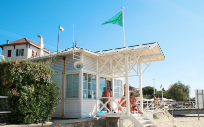 Bassin d’Arcachon un voyage sensoriel entre dunes et pinèdes