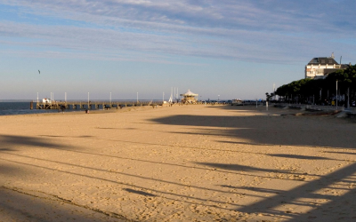 Plongée dans le bassin d’Arcachon, dunes, huîtres, oiseaux et traditions
