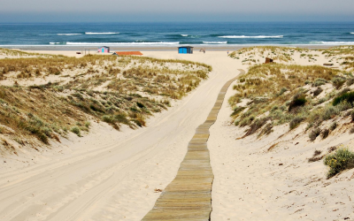 Bassin d’arcachon : culture, innovations, tourisme durable et protection environnementale active
