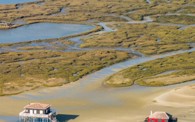 Découvrez le bassin d’arcachon, joyau aquitain préservé et chaleureux