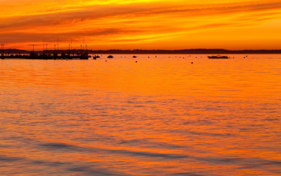 Escapade iodée solaire au bassin d’arcachon entre dunes et huîtres