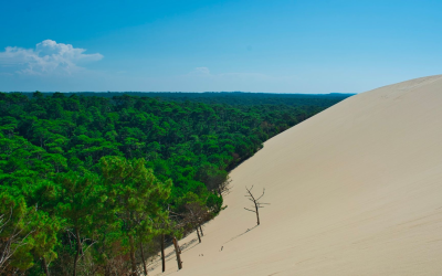 Arcachon art de vivre entre dune du pilat et huîtres
