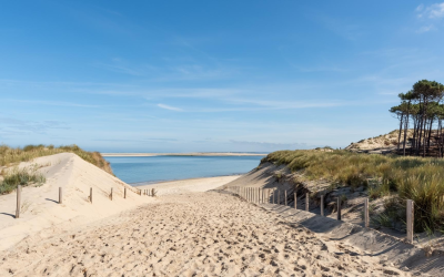 Voyage au cœur du bassin d’arcachon entre nature et traditions