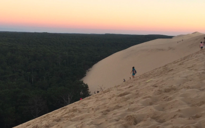 Découvrez l’art de vivre authentique du bassin d’Arcachon