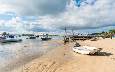 Bassin d’arcachon joyau du sud-ouest séduit 2,6 millions de visiteurs