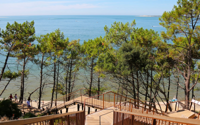 Bassin d’arcachon, joyau naturel et art de vivre authentique
