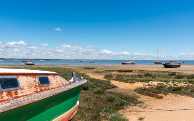 Arcachon séduit 2,7 millions de visiteurs grâce à ses nouveautés
