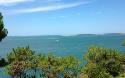Bassin d’arcachon, trésor entre dunes, pins et estuaire