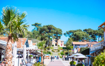 Bassin d’Arcachon enregistre un record de visiteurs et d’initiatives