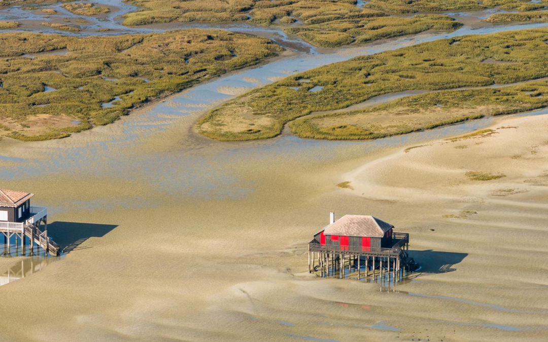 Bassin d’arcachon attire plus de 1,2 million de visiteurs