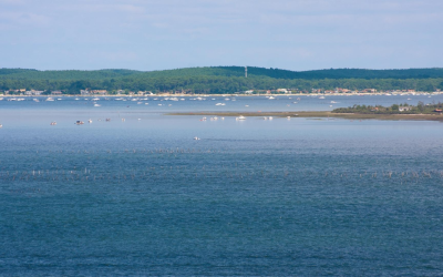 Arcachon dynamise sa vie locale avec culture et tourisme durable