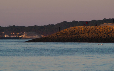 Découvrez le bassin d’arcachon, joyau naturel et havre de traditions