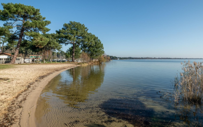 Cap sur arcachon entre ostréiculture, culture et nature en essor