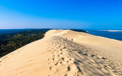 Plongée gourmande et naturelle au cœur du bassin d’Arcachon