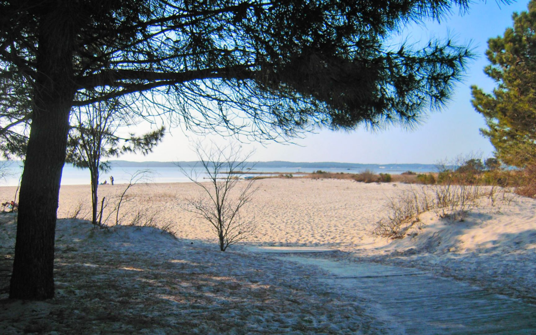 L’âme du bassin d’arcachon entre dunes et traditions ostréicoles