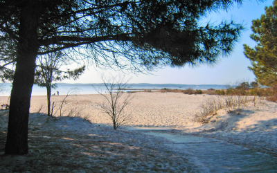 L’âme du bassin d’arcachon entre dunes et traditions ostréicoles